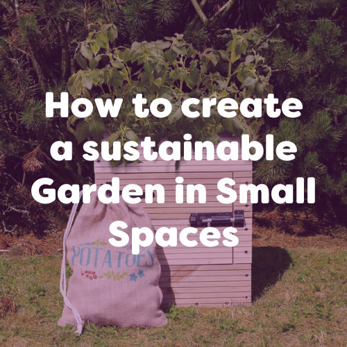 How to create a sustainable Garden in Small Spaces