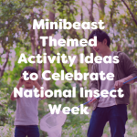 mini beast themed activity ideas to celebrate national insect week