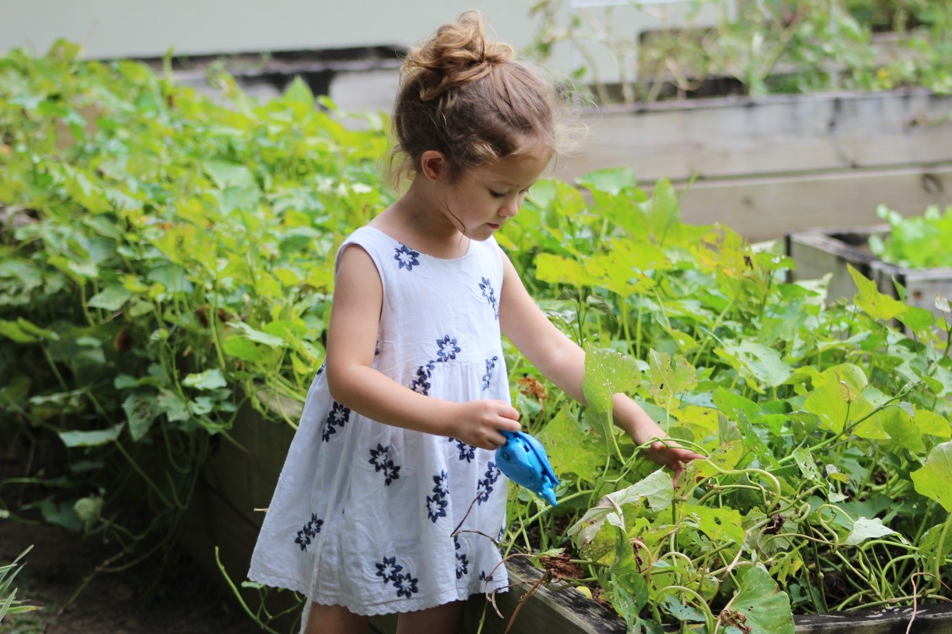 sensory garden in primary school