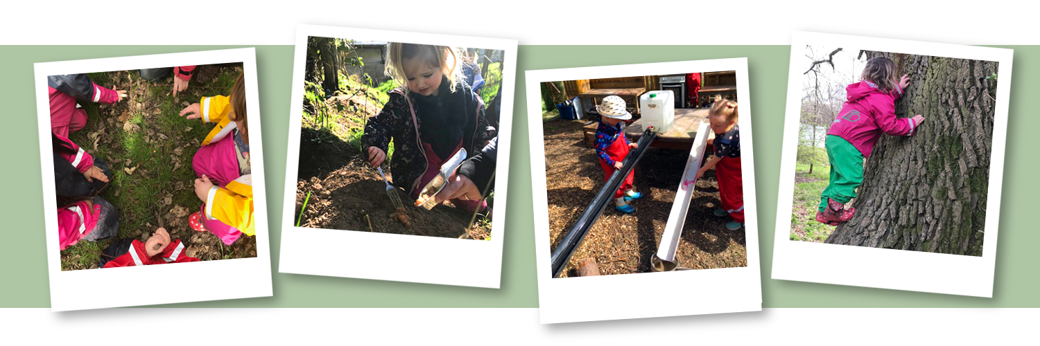 children engaging in forest school