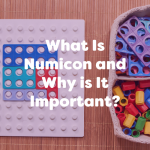 what is numicon and why is it important