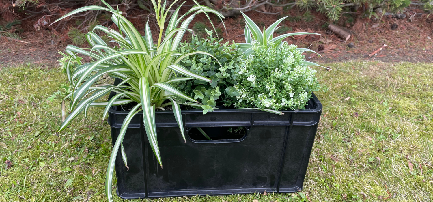 planter made using crate