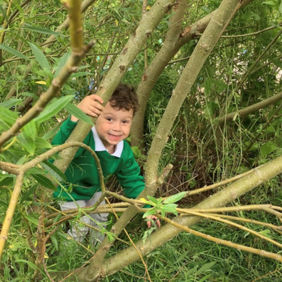 young child climbing trees