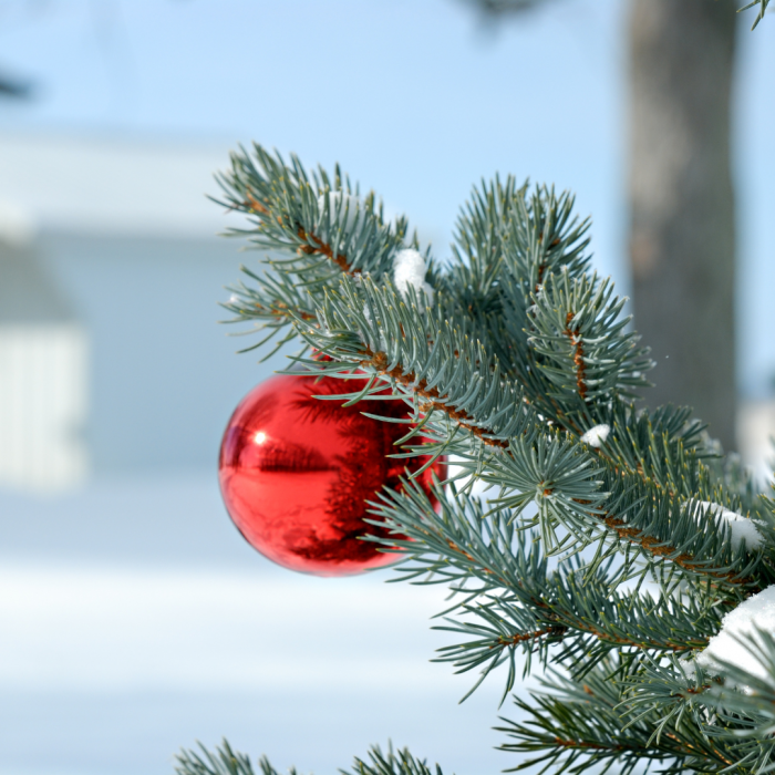 tree ball decoration