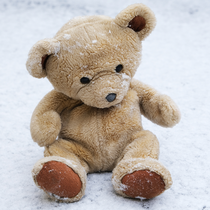 teddy bear in the snow