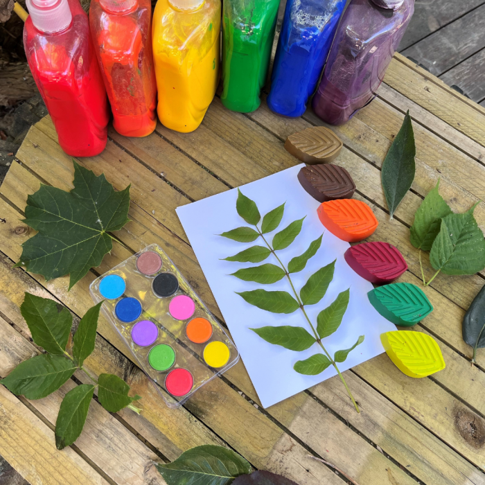 selection of paints, leaves and paper 