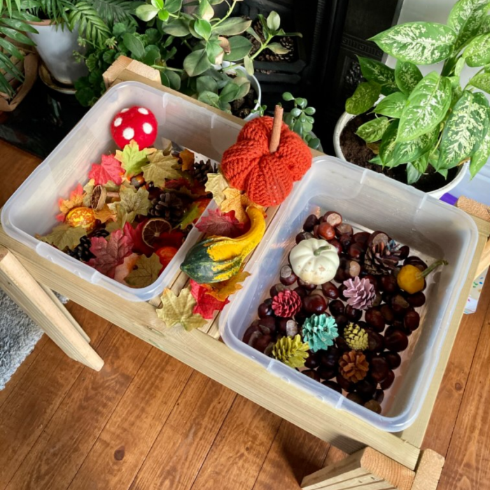 sensory table filled with conkers and leaves