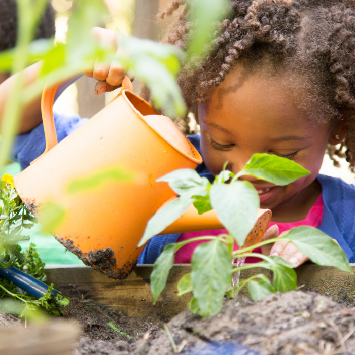 child watering a garden