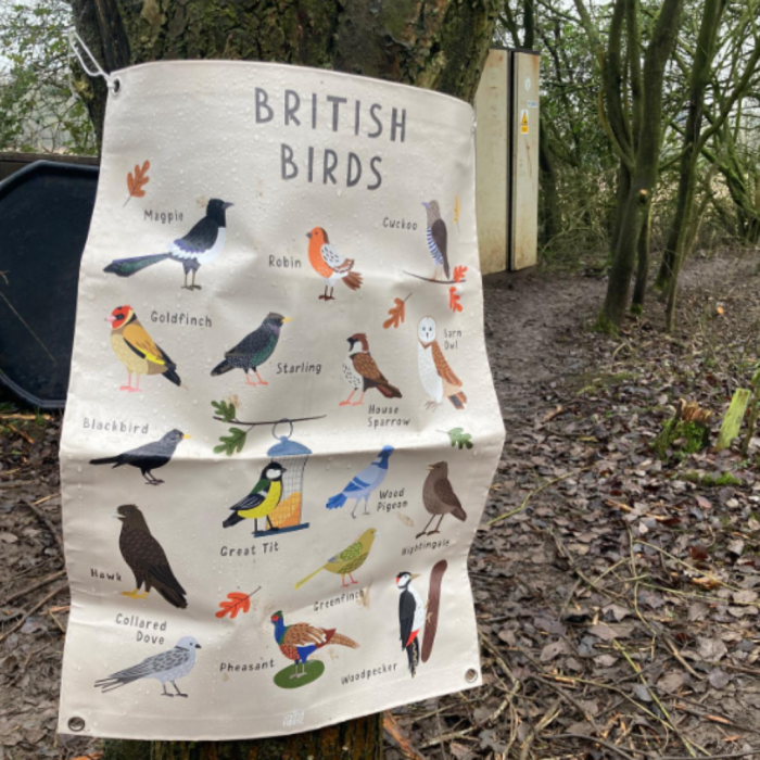 outdoor poster for british birds