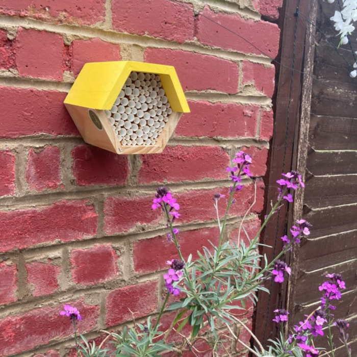 Habitat Project