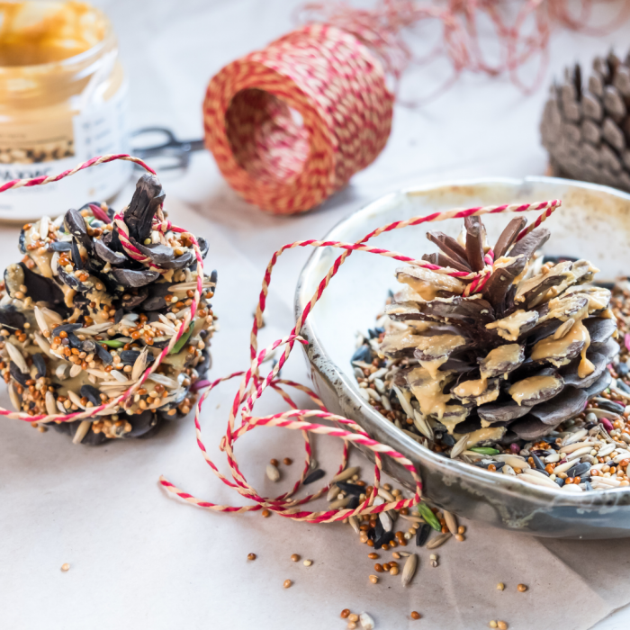 Pine cone bird feeders 