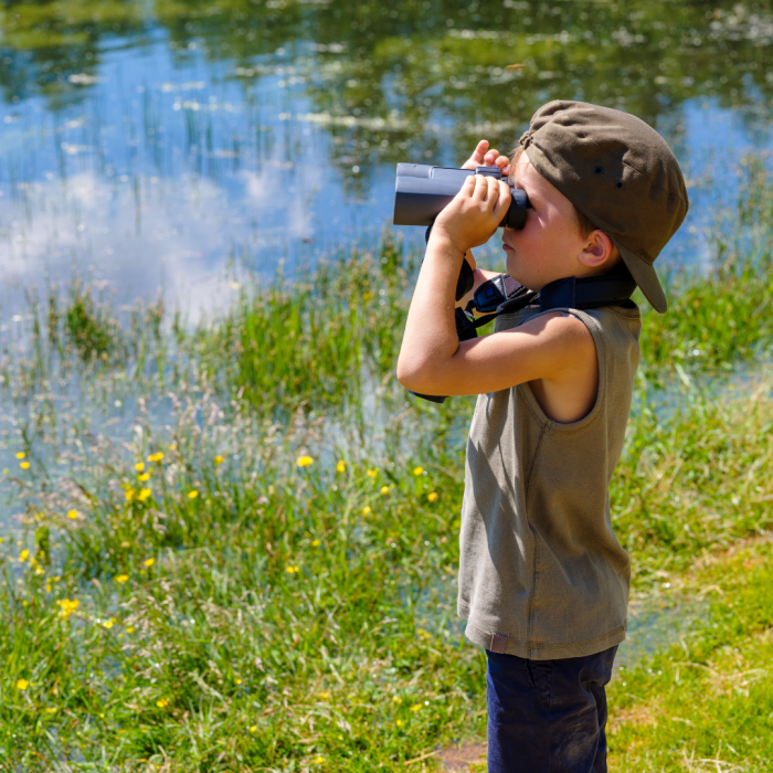 Bird watching 